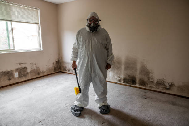 Best Toxic Mold Removal  in Federal Y, WA